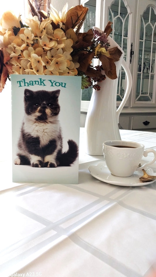 Cute Cat greeting card-thank you.