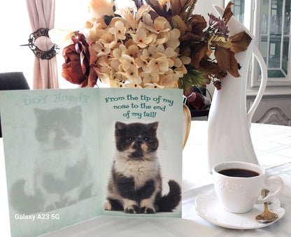 Cute Cat greeting card-thank you.